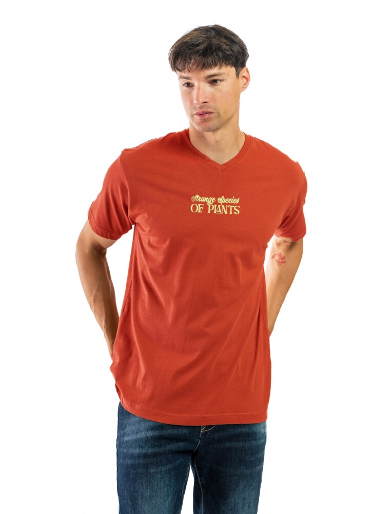 Remera Estampada C/V BGDH REVB-21 Coral/ Diseño 119