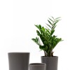 SET 3 MACETAS CERAMICAS CON PLATO GRIS OSCURO