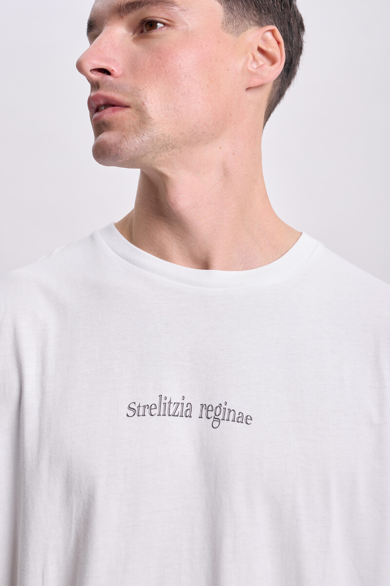 Remera oversize Botanico Blanco
