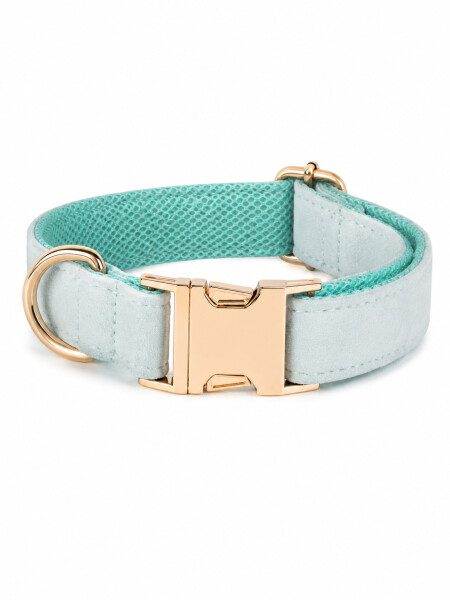 COLLAR PARA MASCOTA AJUSTABLE TALLE S VERDE AQUA