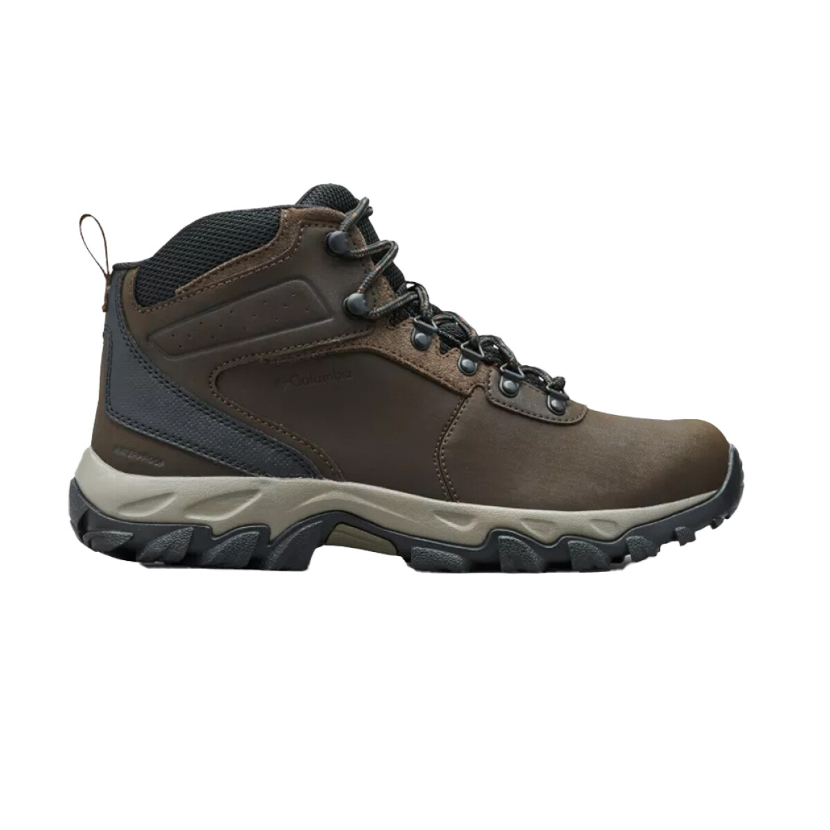 COLUMBIA NEWTON RIDEGE PLUS II - Brown 