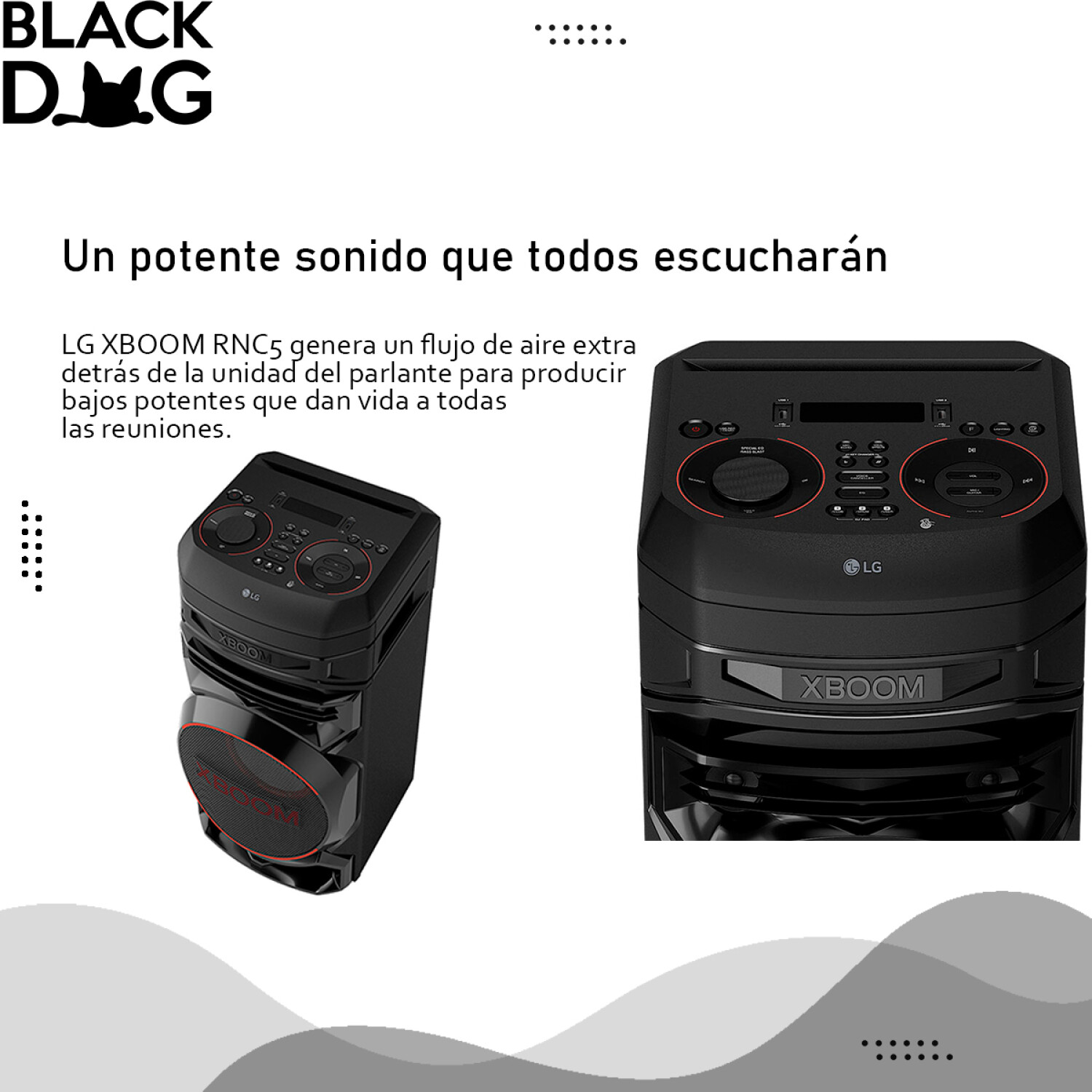Altavoz Bluetooth LG RNC5 Negro