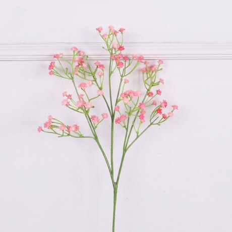 Ilusión Rosa