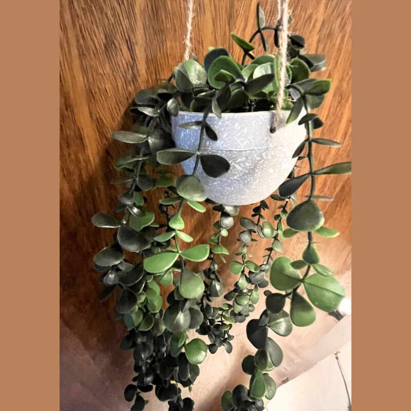 Planta con Maceta Colgante Oscuro