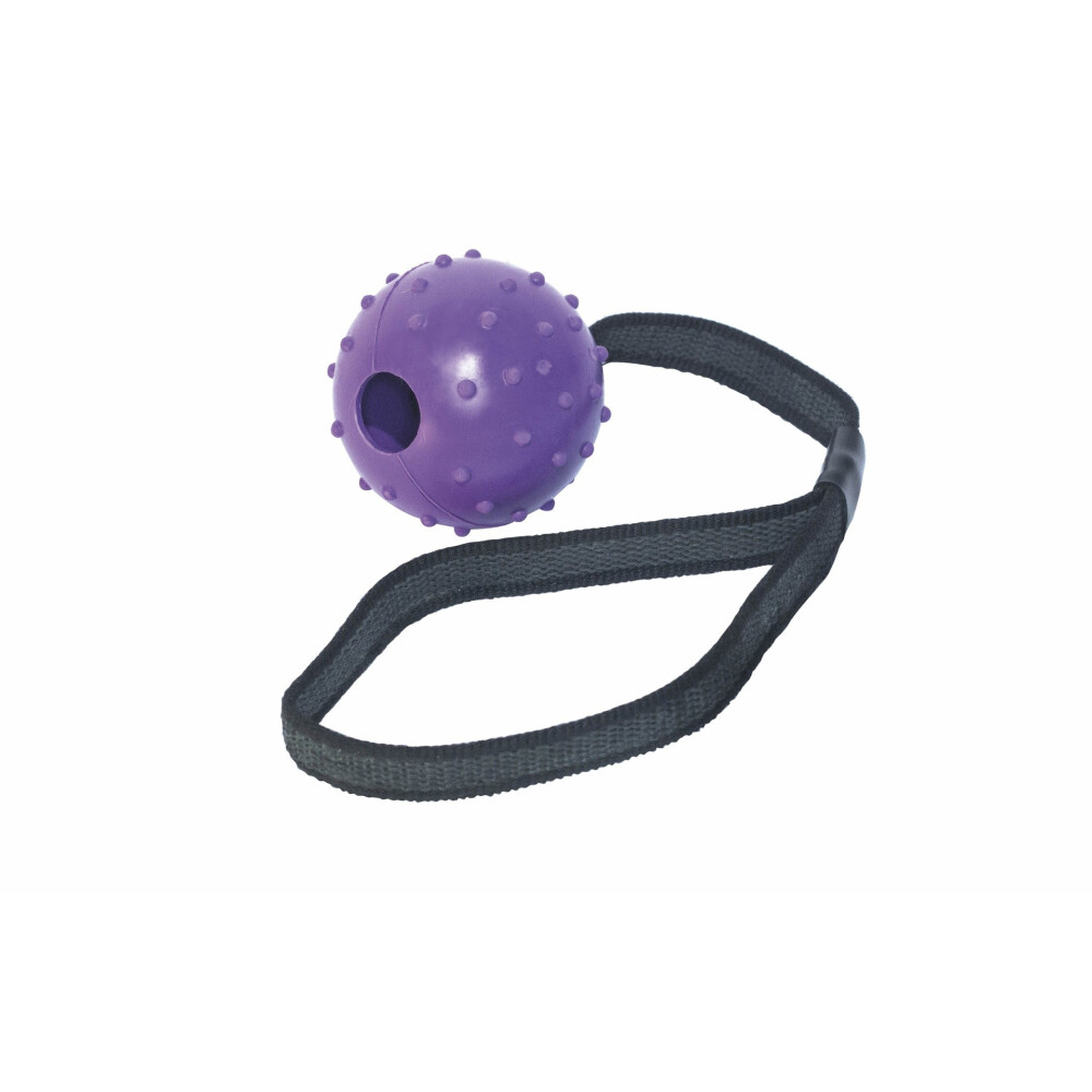 PELOTA GOMA CON CINTA PELOTA GOMA CON CINTA