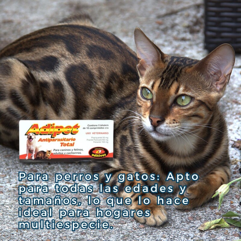 ADIPET ANTIPARASITARIO TOTAL BLISTER DE 10 COMPRIMIDOS ADIPET ANTIPARASITARIO TOTAL BLISTER DE 10 COMPRIMIDOS