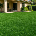 Cesped sintético PREMIUM 20mm espesor 2m2 Cesped sintético PREMIUM 20mm espesor 2m2
