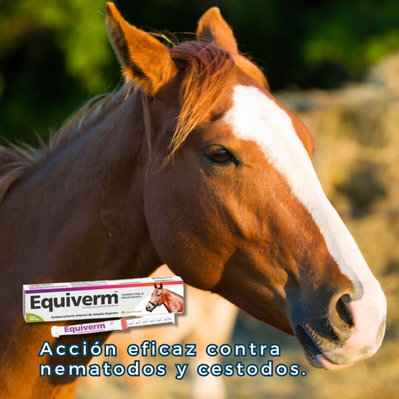 EQUIVERM JERINGA 600 KG EQUIVERM JERINGA 600 KG