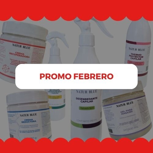 PROMO FEBRERO