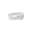 Anillo Profesión Ingeniero agrónomo-Plata y Oro-Sin Piedra-AP5009 - Adulto - Sinpiedra