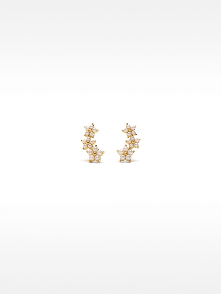 Pendientes Con Circonitas - Plata De Ley 925 dorado