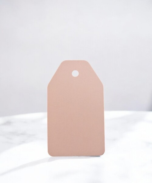 Tag rectangular liso 5x8,5 ROSADO