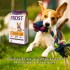 FROST PERROS ADULTOS RAZAS PEQUEÑAS 15 KG + TERMO DE REGALO