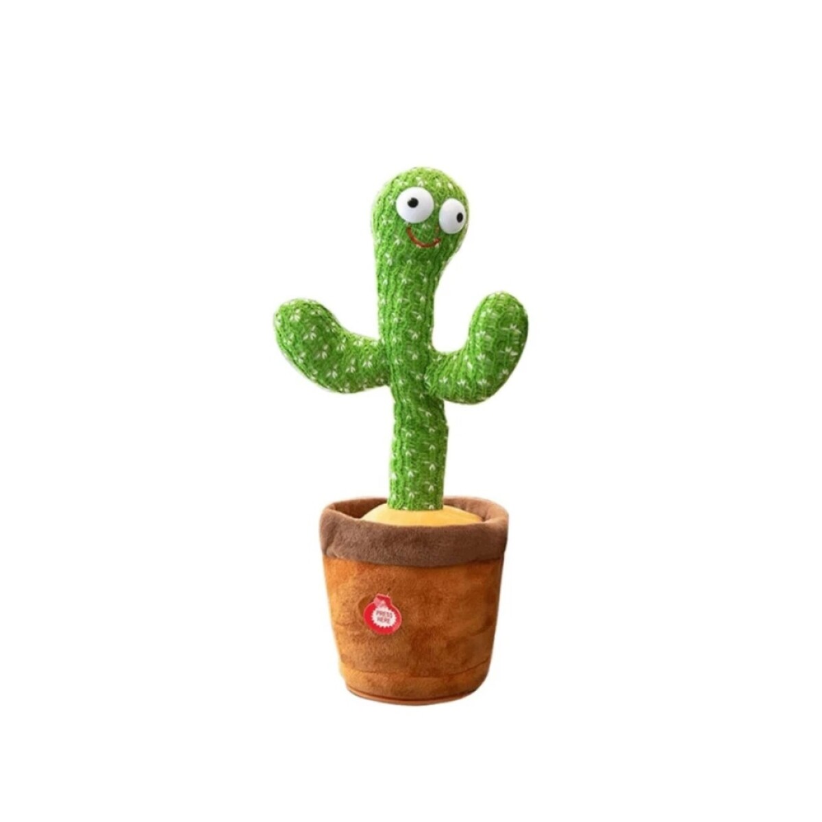 CACTUS BAILA CANTA REPITE Y GRABA 