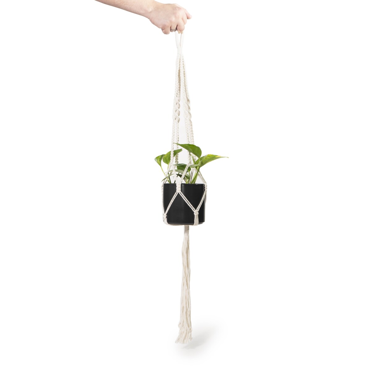 MACRAMÉ COLGANTE 