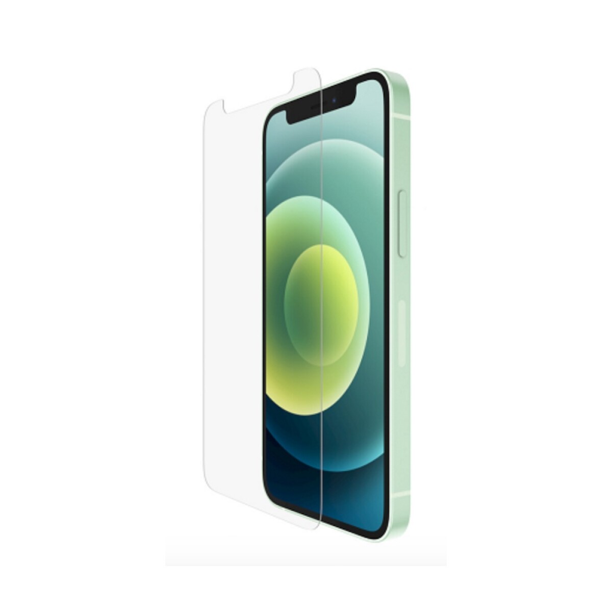 Belkin lamina templada para iPhone 12 Mini 