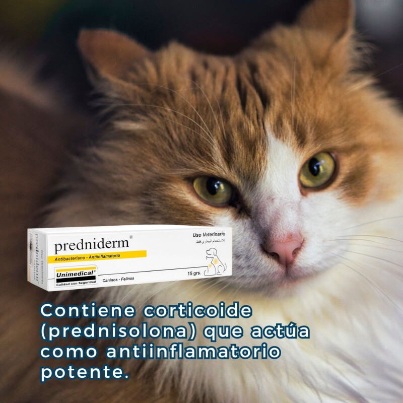 PREDNIDERM CREMA ANTINFLAMATORIA 15 G PREDNIDERM CREMA ANTINFLAMATORIA 15 G