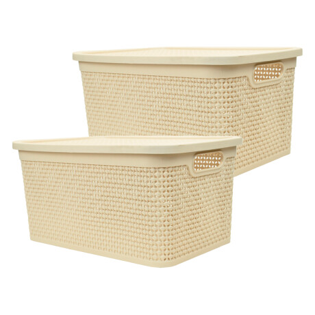 Set x2 Caja simil ratán 15 lts BEIGE
