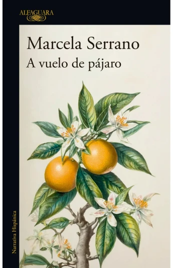 A vuelo de pajaro A vuelo de pajaro