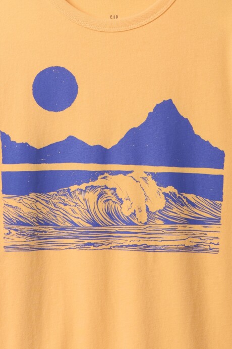 Remera Gráfico Niño Orange Nectar 660