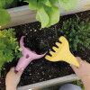 Kit Playa Garden Fun Rosa