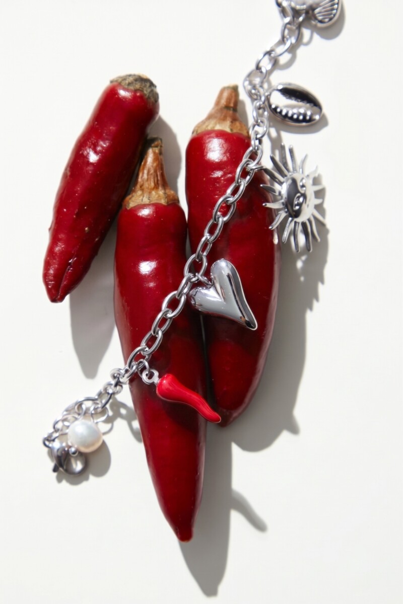 Pulsera dijes sol chilly acero plateado