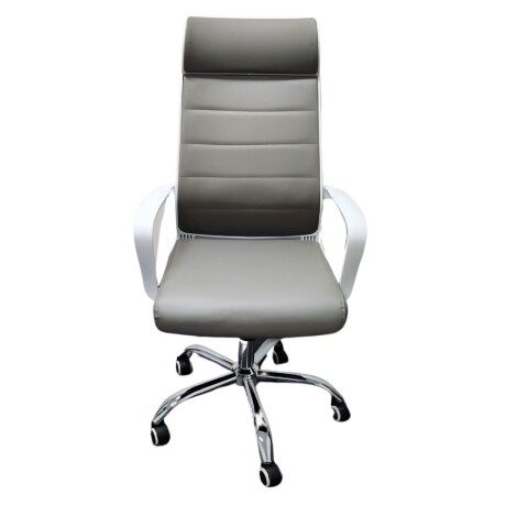 Silla de oficina AeroComfort Pro Gris