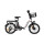 Bicicleta Eléctrica Plegable Voltbike Flex 350 W Rodado 20 Batería de Litio Blanco