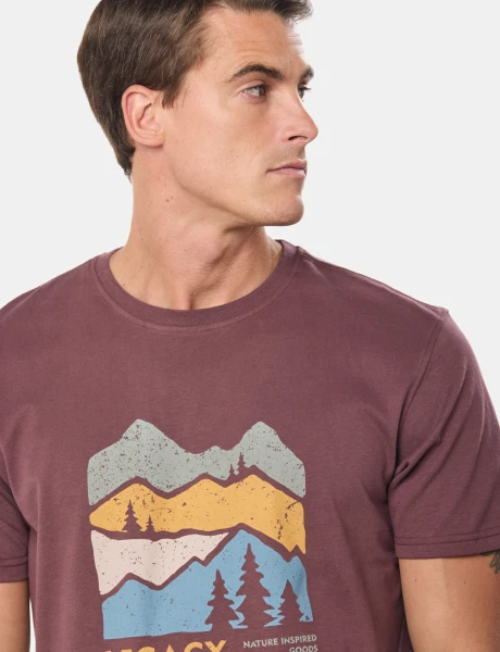 REMERA ESTAMPADA Bordo