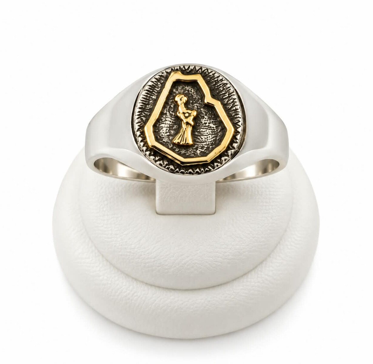 Anillo profesión Ingeniero agrónomo 
