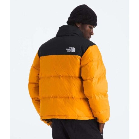 Campera de Pluma 1996 Nuptse hombre Summit Gold/tnf Black/r