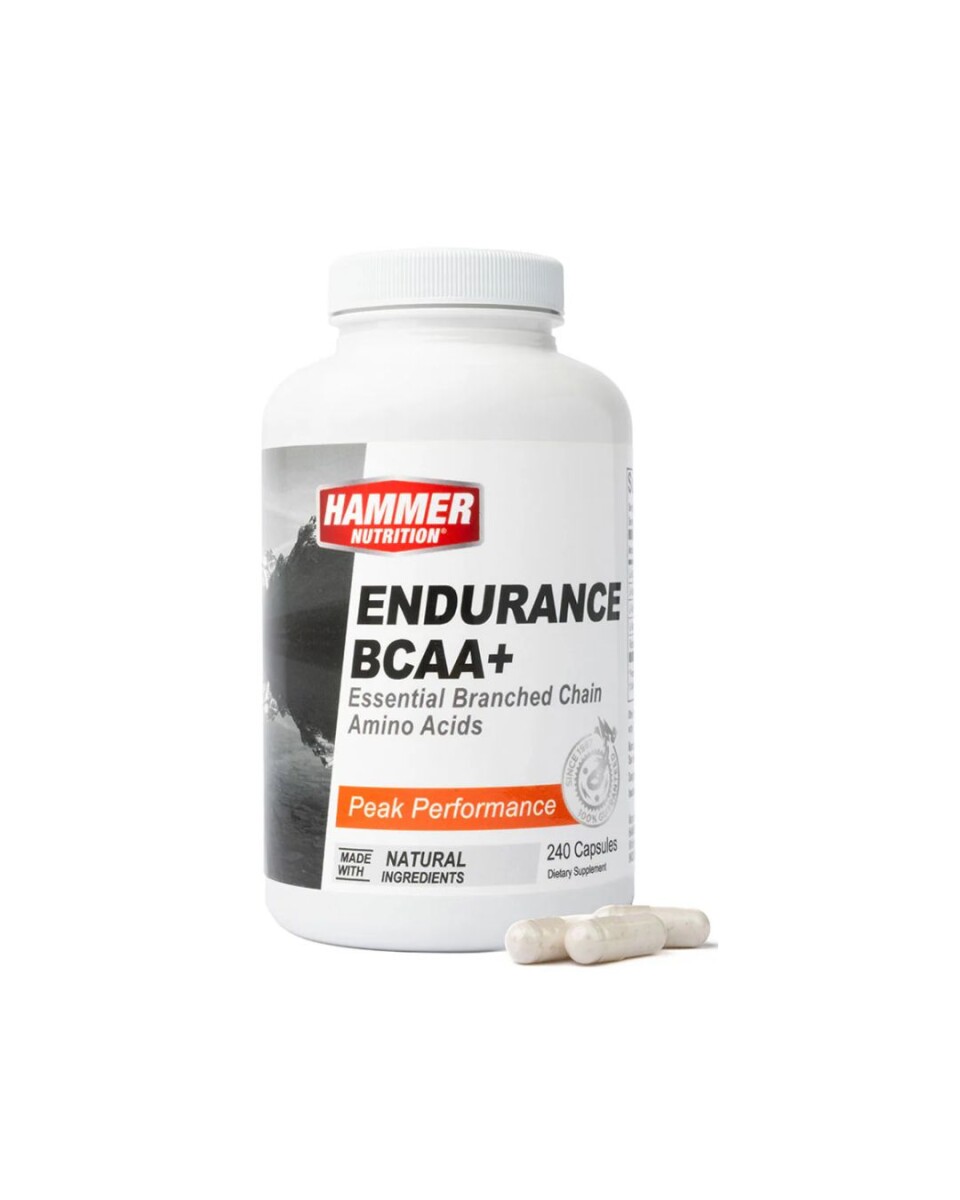 Endurance BCAA Hammer - 240 cáps 