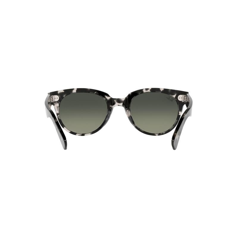 Ray Ban Rb2199 Orion 1333/71