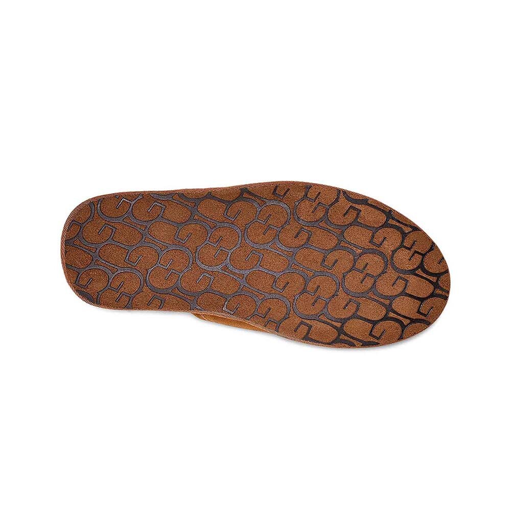 Pantuflas Ugg Scuff M Hombre Chestnut