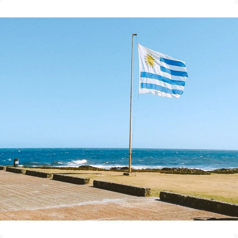 Bandera De Uruguay 60x100cm Bandera De Uruguay 60x100cm