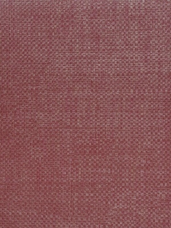 COLECCIÓN DESIGN BY PINTELUX - PATTERN 25707- N/A