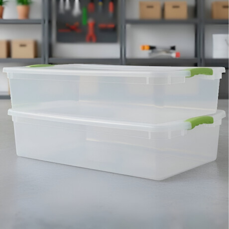 Set x2 Caja organizadora 32 lts Wenbox TRANSPARENTE