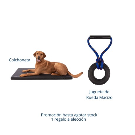 PRO PLAN CACHORRO PERRO PEQUEÑO 7.5KG Pro Plan Cachorro Perro Pequeño 7.5kg