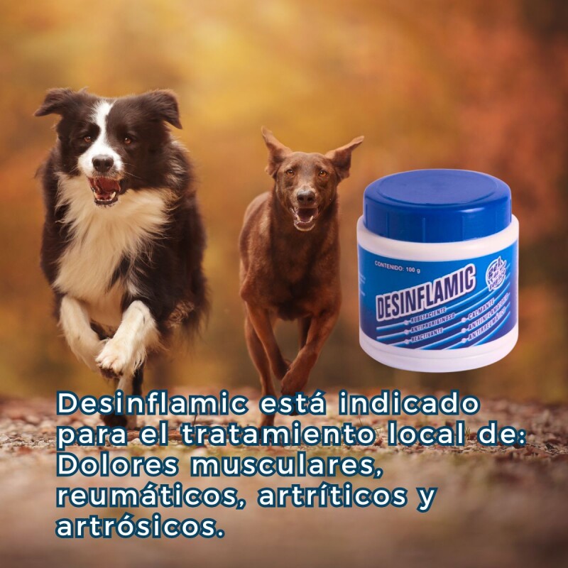 DESINFLAMIC GEL ANTIINFLAMATORIO CALMANTE ANTIREUMÁTICO X 100 GRS DESINFLAMIC GEL ANTIINFLAMATORIO CALMANTE ANTIREUMÁTICO X 100 GRS