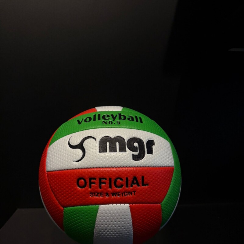 Pelota Volley Pelota Volley