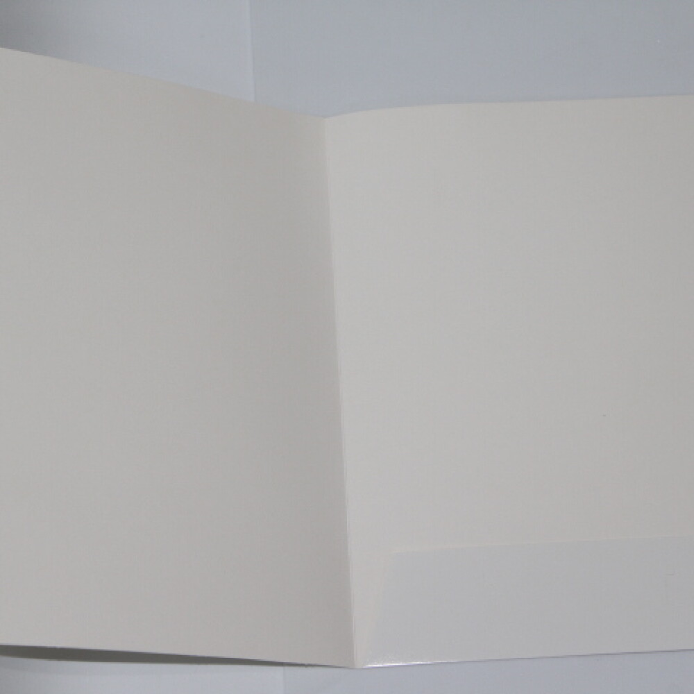 CARPETA PANCHROME A4 601 BLANCO CARPETA PANCHROME A4 601 BLANCO