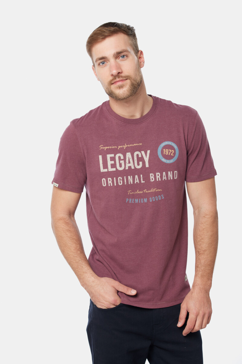 REMERA ESTAMPADA - Bordo 
