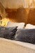 Terciopelo Cushion Gris