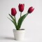 Planta Con Maceta Flor Tulipán Rojo