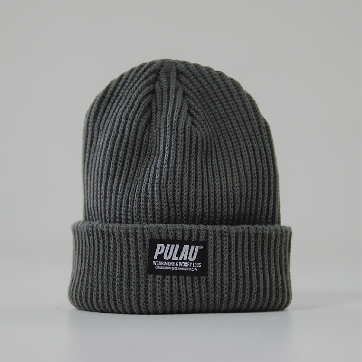 Gorro Pulau Beanie Patagonia - Gris 