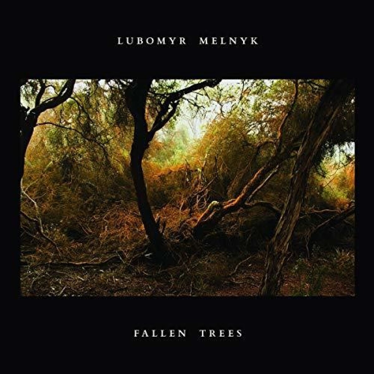 (l) Melnyk Lubomyr - Fallen Trees - Vinilo 
