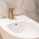 Griferia De Bidet Monocomando Linea Epuyen Fv Oro Mate DORADO-BRUSHED GOLD