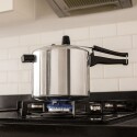 OLLA A PRESION PANELUX 4,5 LITROS PLATEADO