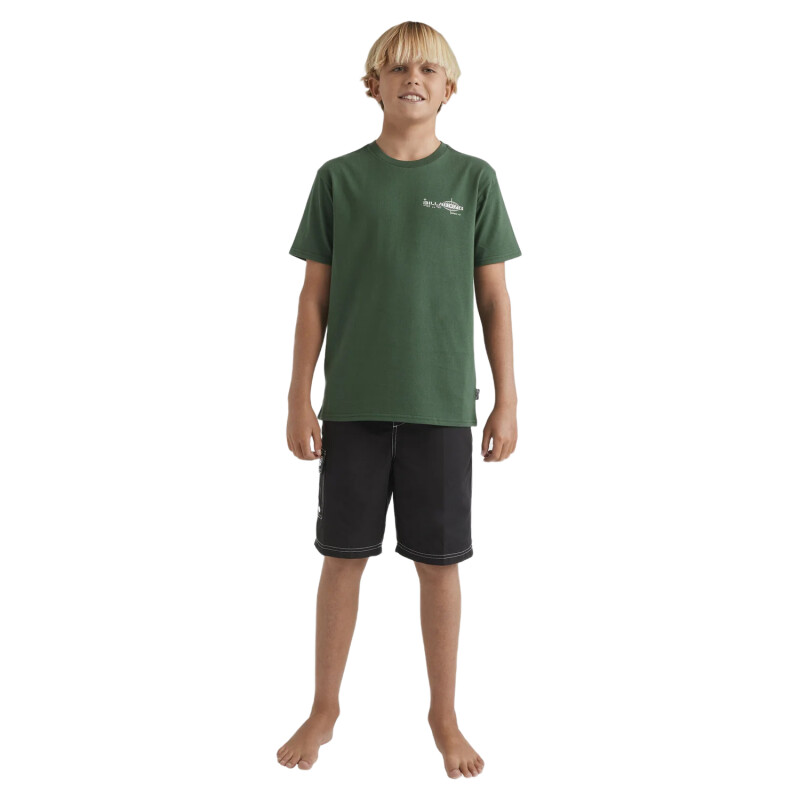 Remera de Niño Billabong Spec 73 Iconic - Verde Remera de Niño Billabong Spec 73 Iconic - Verde