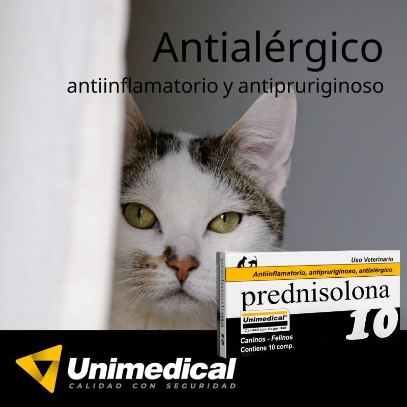 PREDNISOLONA 10 MG X CAJA DE 10 COMPRIMIDOS PREDNISOLONA 10 MG X CAJA DE 10 COMPRIMIDOS